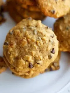 Pumpkin Oatmeal Chocolate Chip Cookies