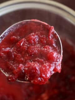 Slightly sweet cranberry sauce