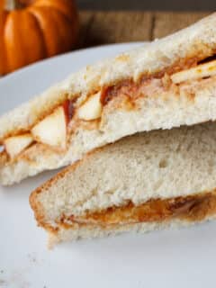 Peanut and pumpkin butter apple sandwich