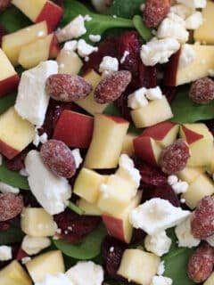 Spinach salad with apple, feta, dried cranberries and honey almonds. Inspired by the Enlightened Spinach Salad from Mellow Mushroom. Paired with my honey poppyseed dressing, you'll never want to make any different kind of salad again.