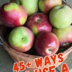 45+ ways to use a lot of apples