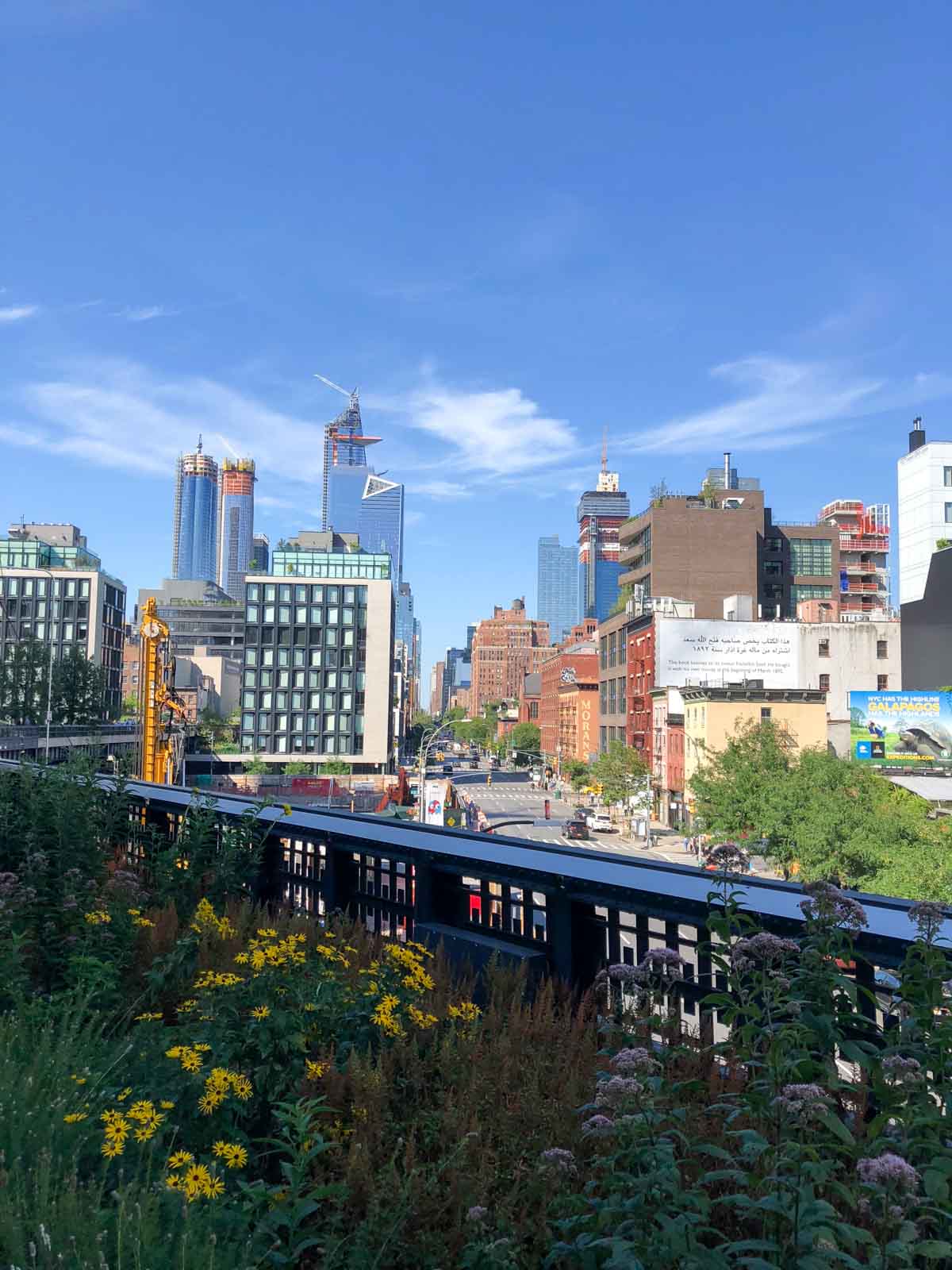 Shake Shack's New Manhattan Location Opens This Week - Eater NY