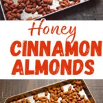 Honey Cinnamon Almonds pin