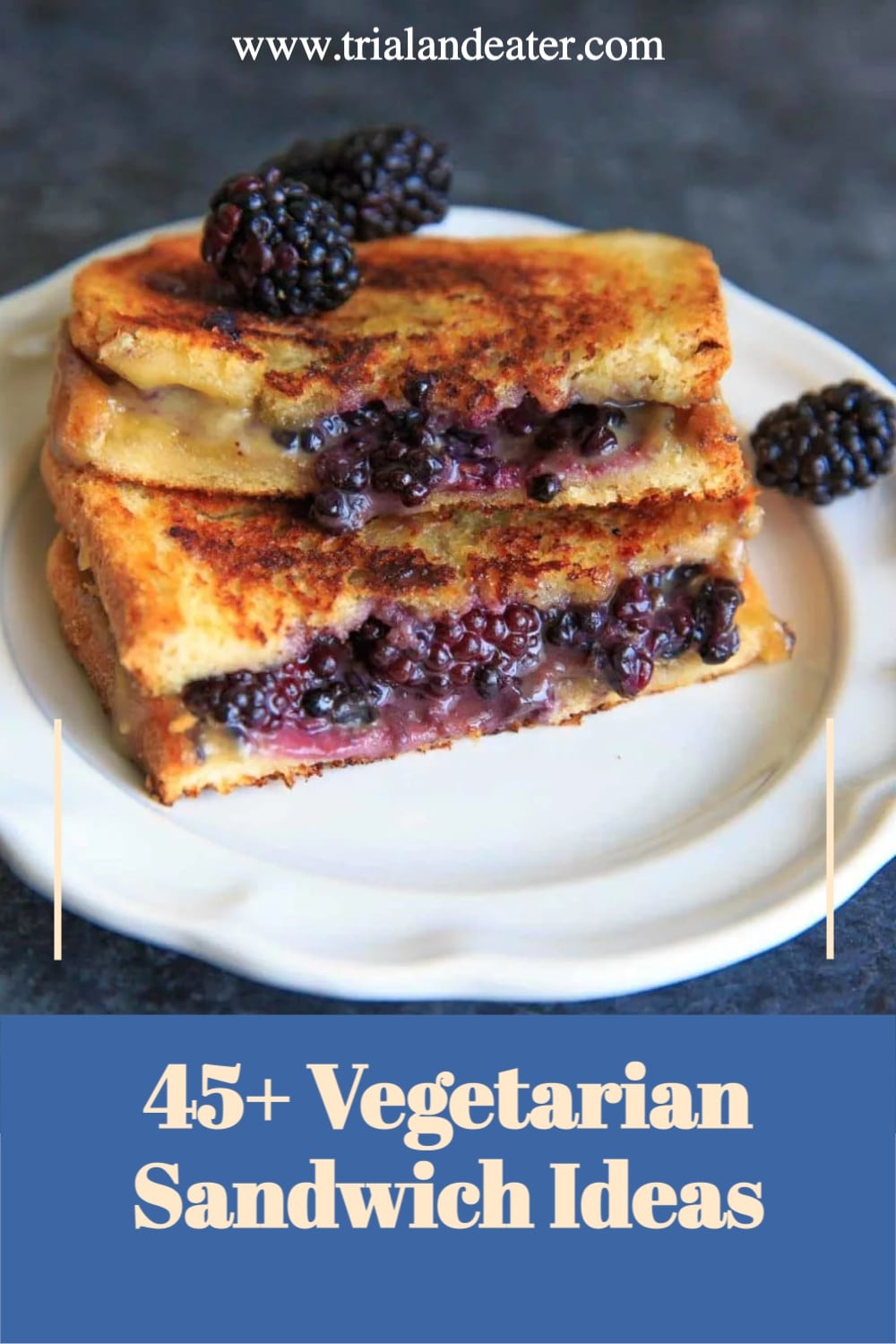 45 Vegetarian Sandwich Ideas Trial And Eater   45 Vegetarian Sandwich Ideas 1 