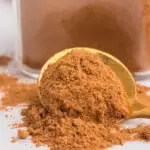 pumpkin pie spice pin