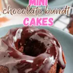 Mini Chocolate Bundt Cakes pin.