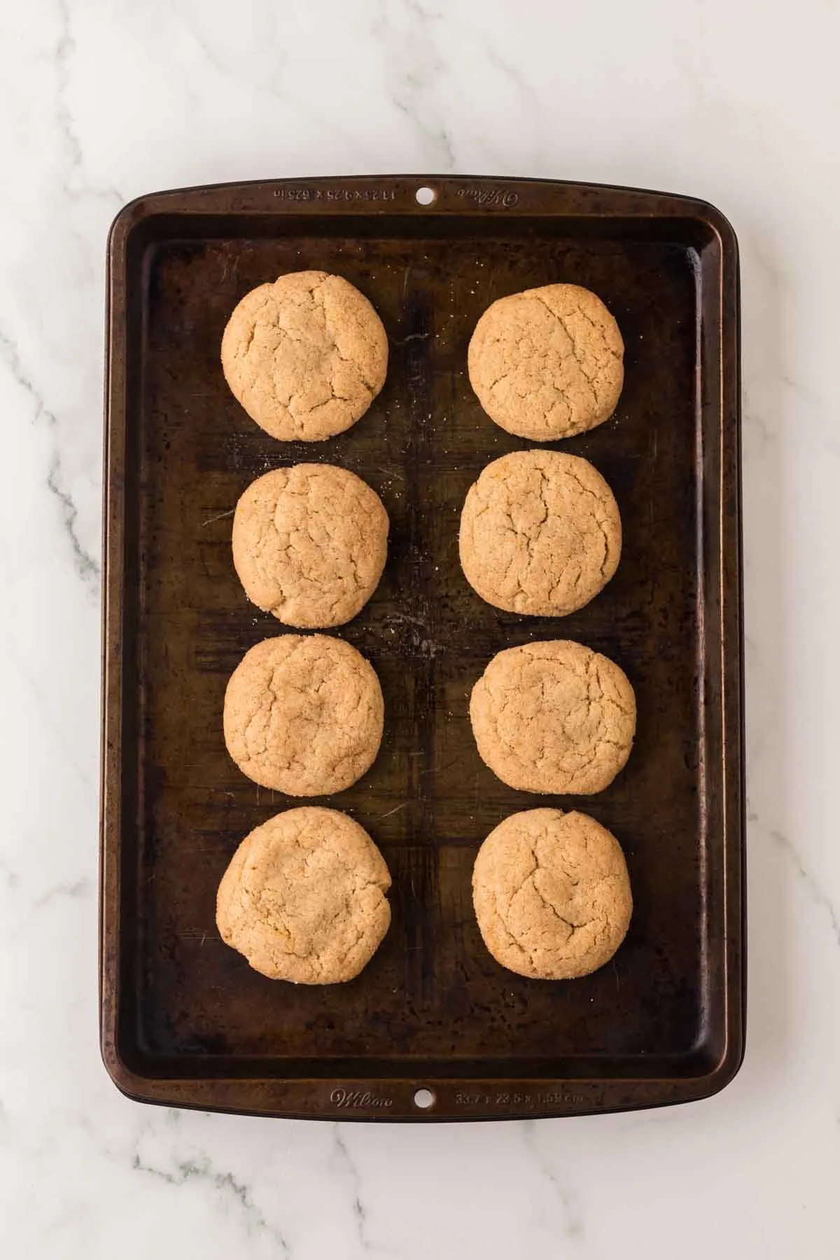 8 apple cider cookies on baking sheet fresh out of the oven.