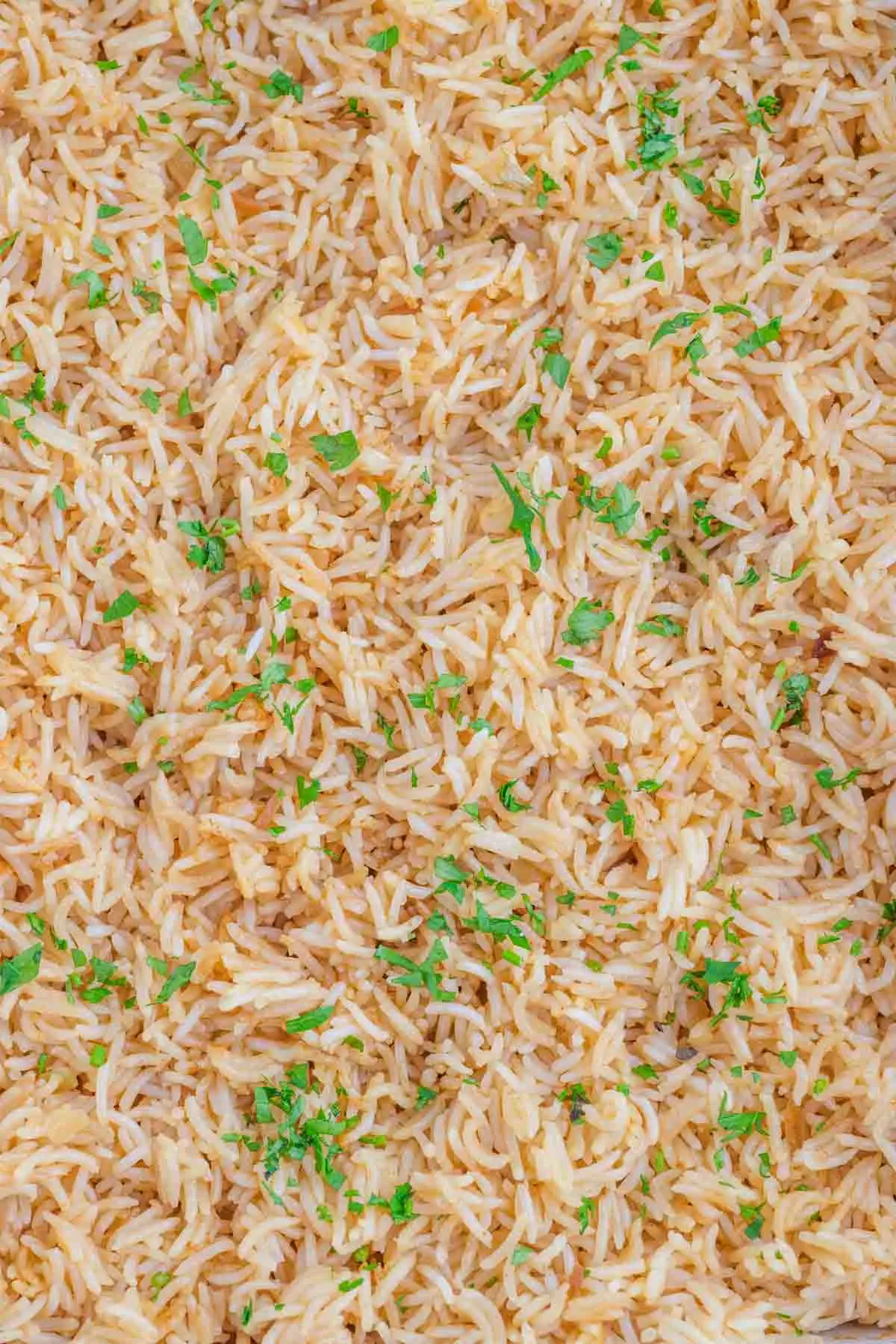 french onion rice