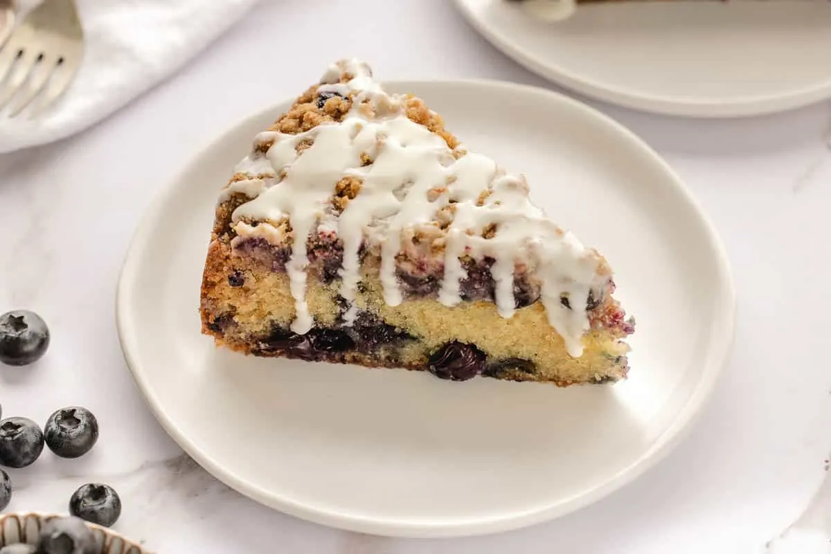 Sour Cream Blueberry Coffee Cake slice on white plate.